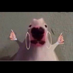 Meet your Posher, Ky